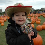 Long Island pumpkin patch