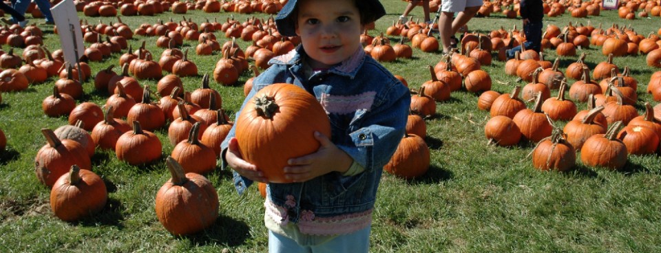 Visit our Pumpkin Patch